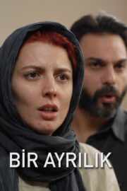 Bir Ayrılık