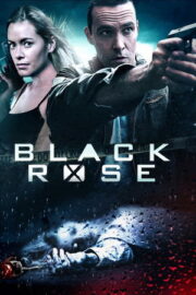 Black Rose